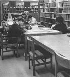 Students Studying in the Library