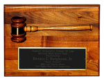 1999 Luke Charles Moore Civil Rights Moot Court Competition: Best Oralist